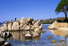 开云体育中国官网-欧冠半决赛之夜，莫兰特全场最佳无争议，定义新一代巨星时刻