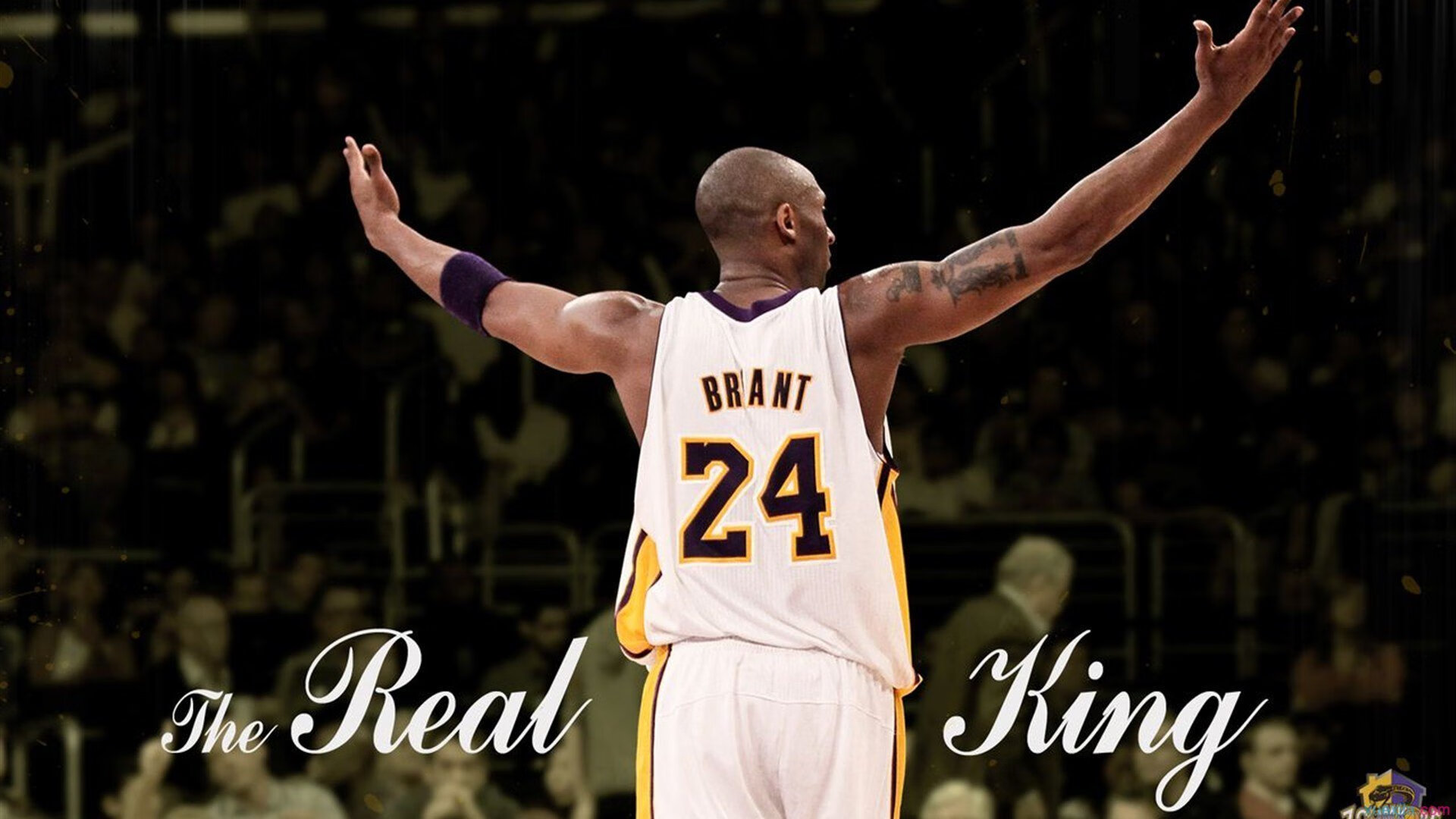 蛰伏后的反击，恩比德自我救赎，黄蜂强势击溃骑士